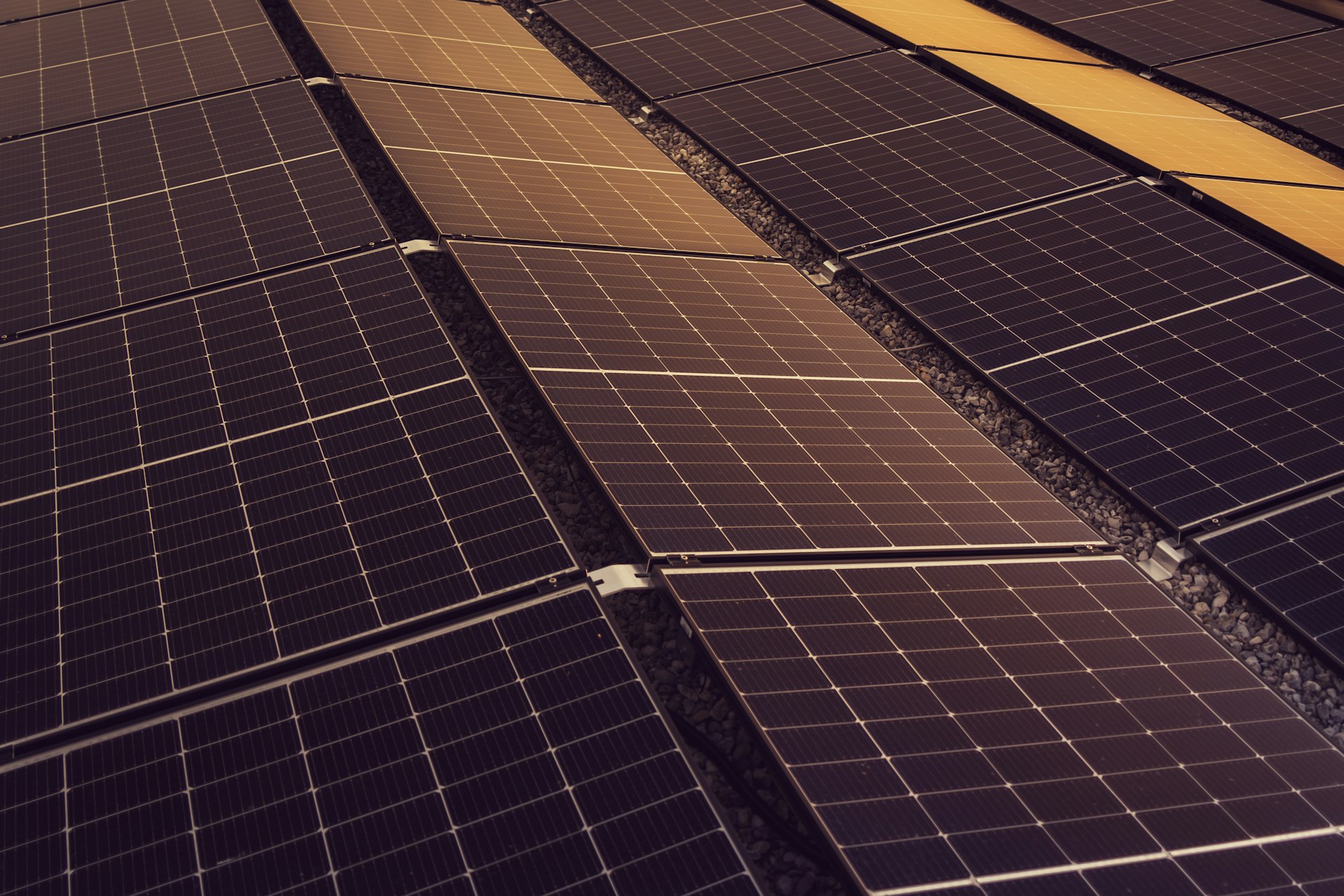 Mehrere Reihen Solarmodule auf einem Dach